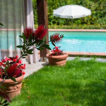 Villa Con Piscina Esclusiva Nel Verde Лукка Екстер'єр фото