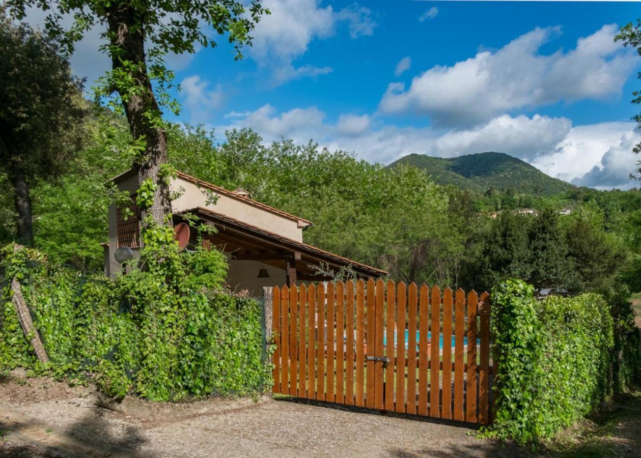 Villa Con Piscina Esclusiva Nel Verde Лукка Екстер'єр фото