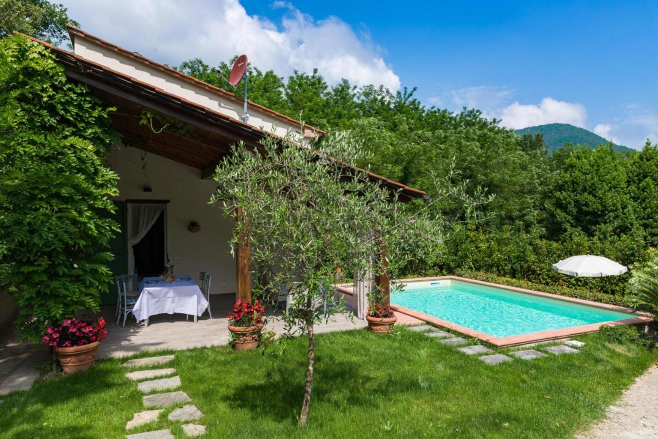 Villa Con Piscina Esclusiva Nel Verde Лукка Екстер'єр фото